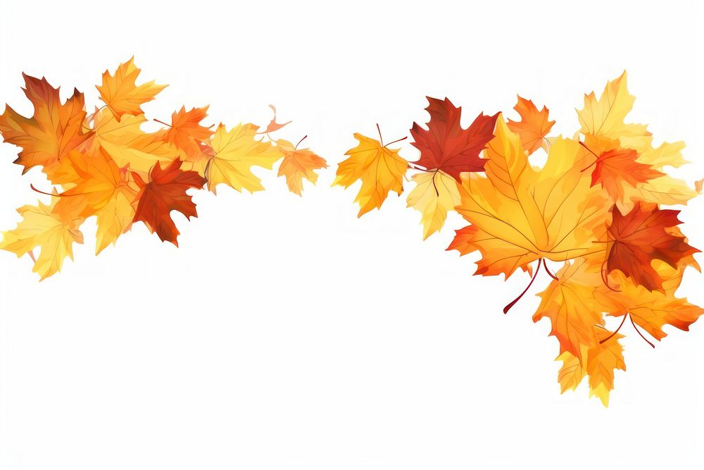 Autumn leaf frame maple plant white background. AI generated Image by rawpixel.