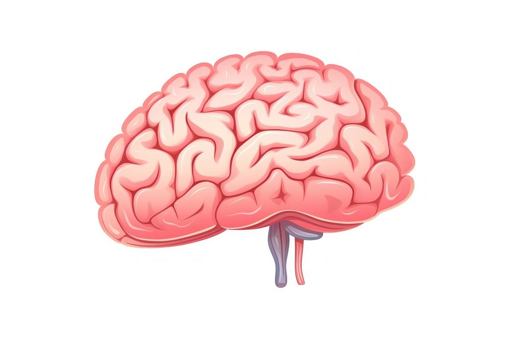 Brain drawing white background outdoors. AI generated Image by rawpixel.