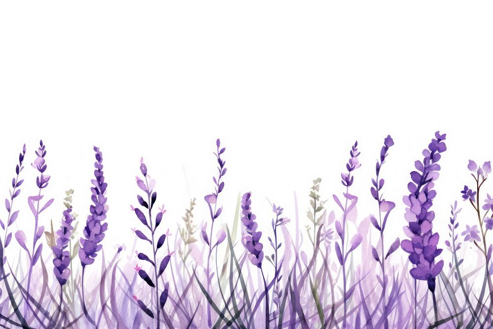 Lavender backgrounds flower purple. AI generated Image by rawpixel.