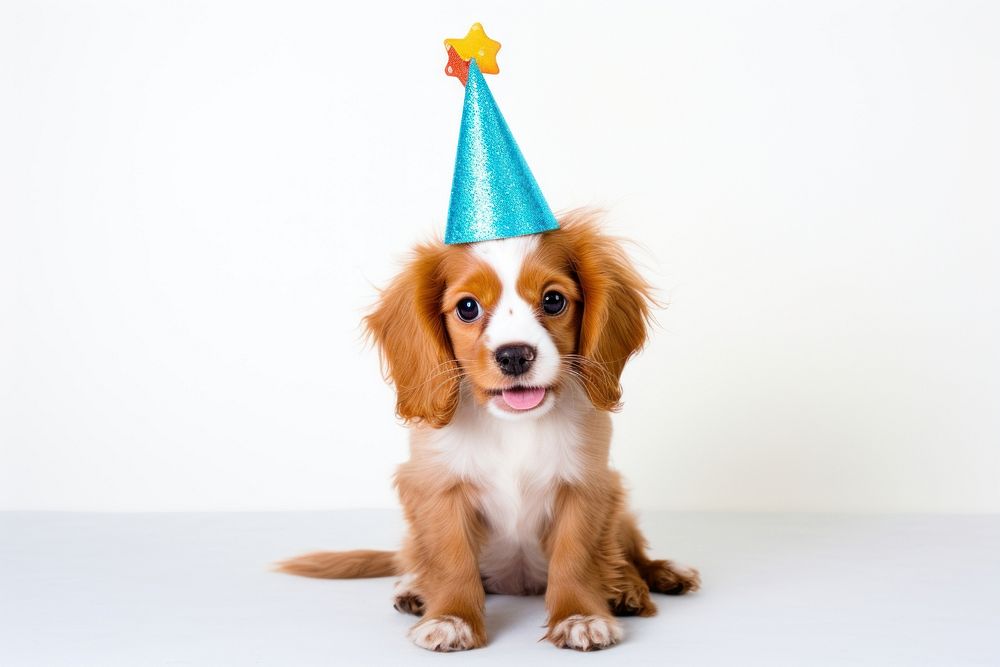 Puppy wearing party hat mammal animal pet. AI generated Image by rawpixel.