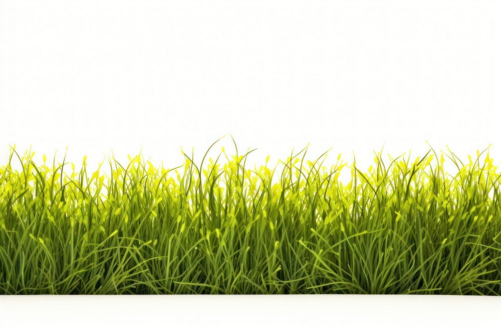 Yellow green grass border backgrounds outdoors plant. AI generated Image by rawpixel.