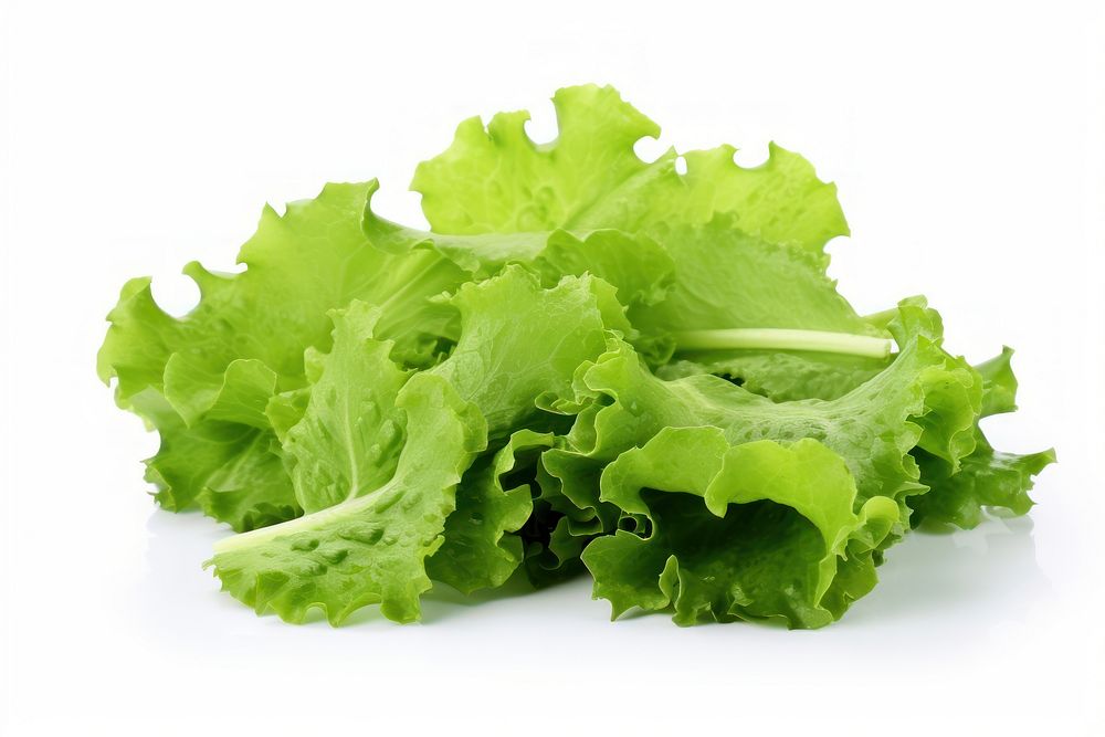 Fresh green salad leaves vegetable lettuce plant. AI generated Image by rawpixel.