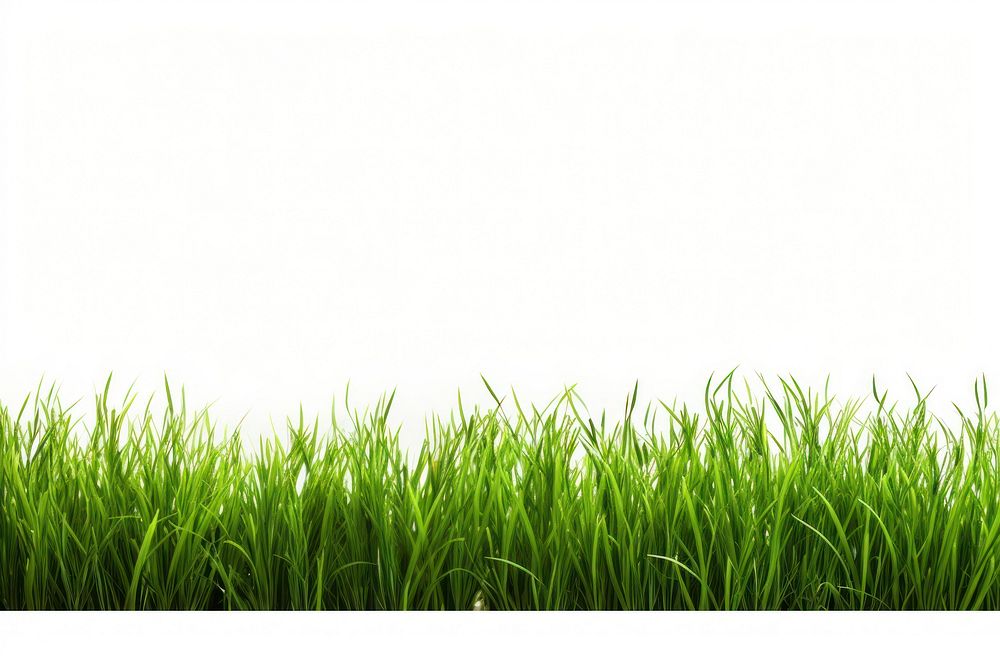 Green grass border backgrounds outdoors plant. AI generated Image by rawpixel.