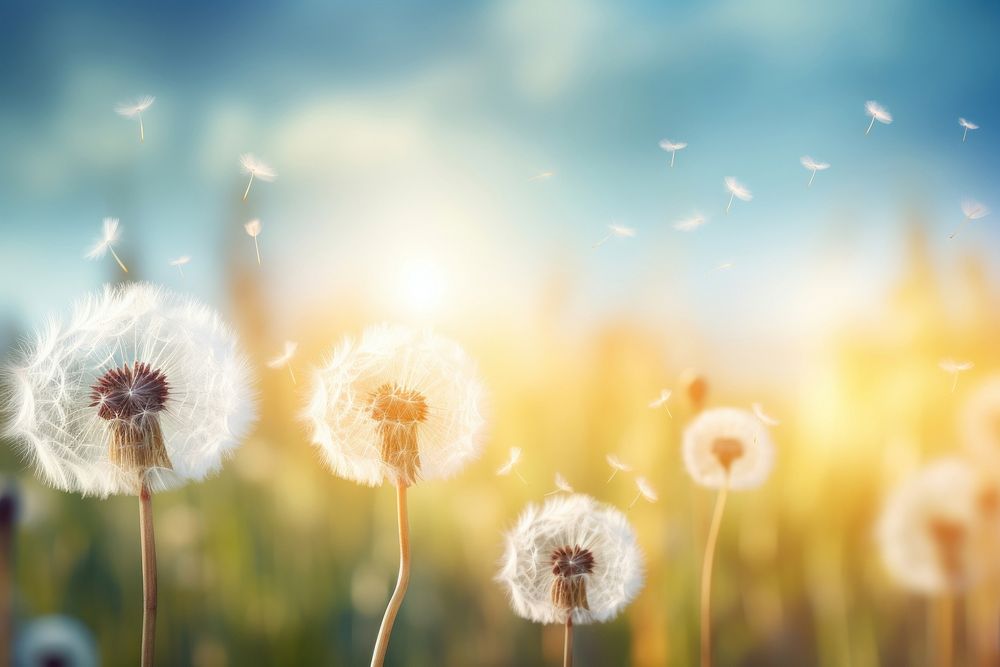 Spring dandelion background nature backgrounds landscape. AI generated Image by rawpixel.