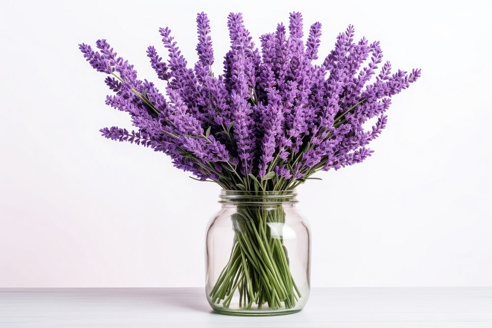 Lavender flower plant jar. AI generated Image by rawpixel.