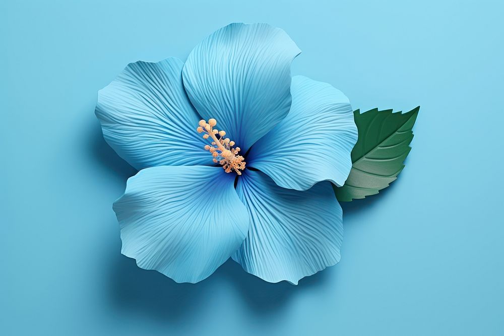Blue hibiscus flower petal plant inflorescence. AI generated Image by rawpixel.