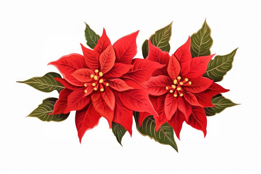 Poinsettia flower plant petal. AI generated Image by rawpixel.