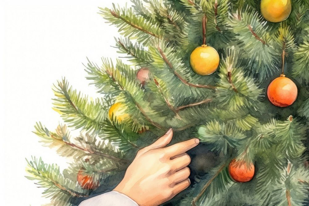 Decorating christmas tree plant pine hand. AI generated Image by rawpixel.