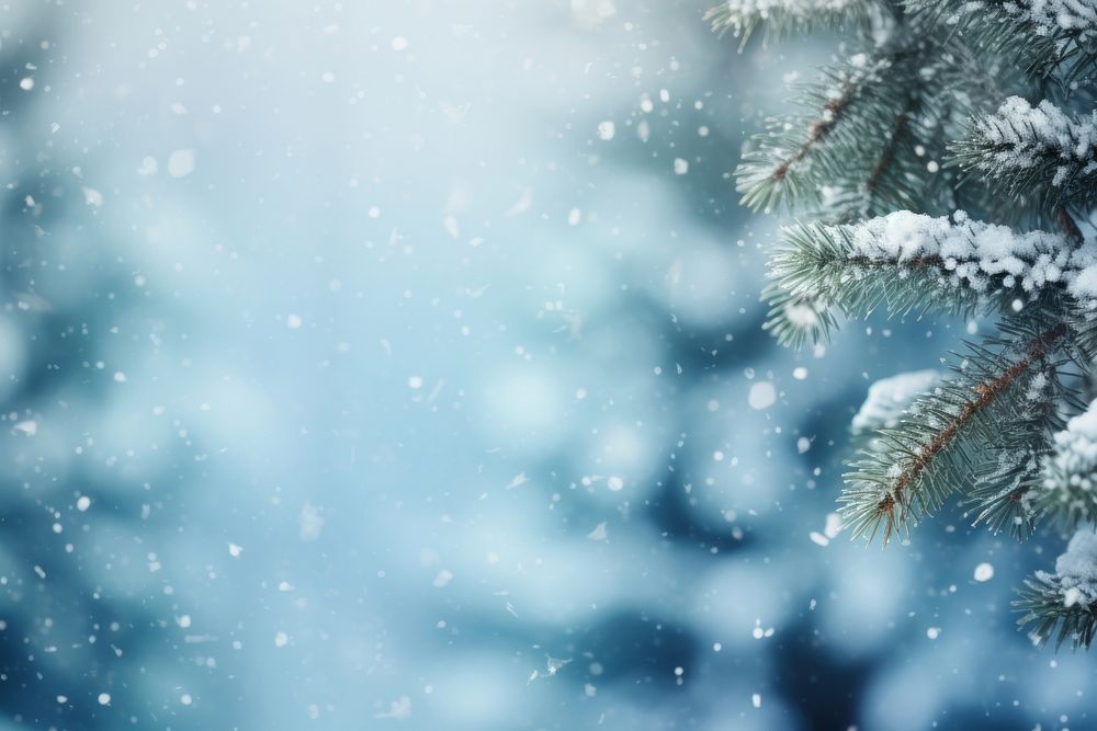 Winter snow tree backgrounds. AI generated Image by rawpixel.