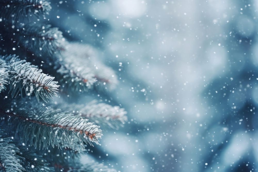 Snow tree backgrounds outdoors. AI generated Image by rawpixel.