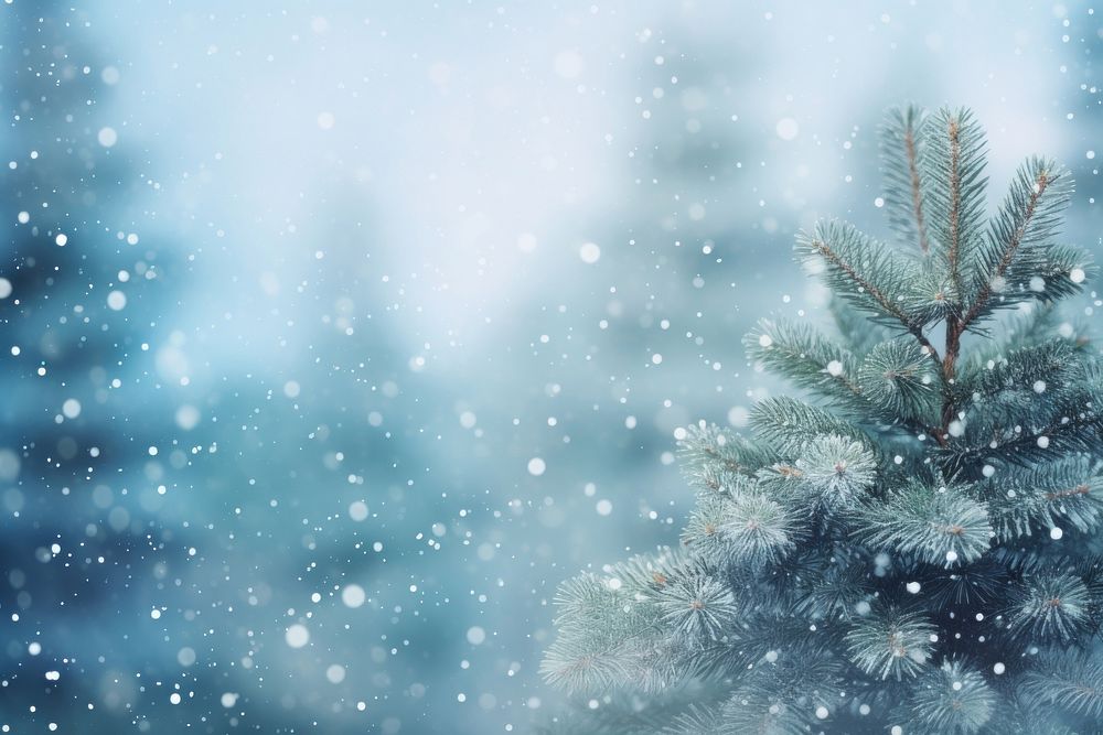 Winter snow tree backgrounds. AI generated Image by rawpixel.