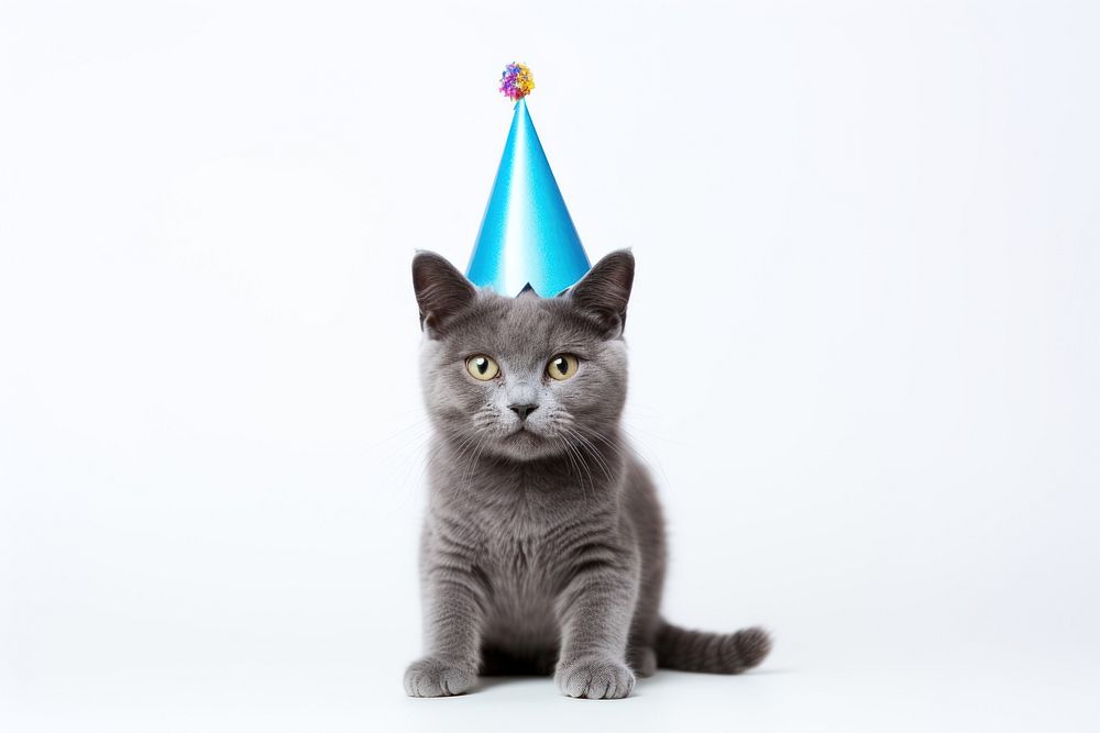 Party mammal animal cute. AI generated Image by rawpixel.