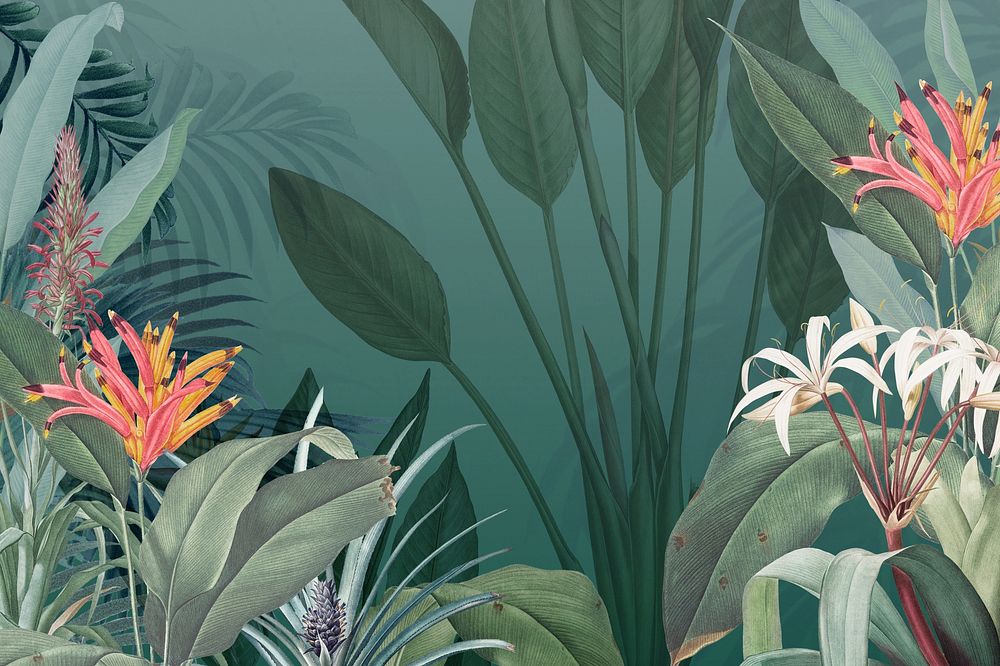Vintage jungle  background. Remixed by rawpixel.