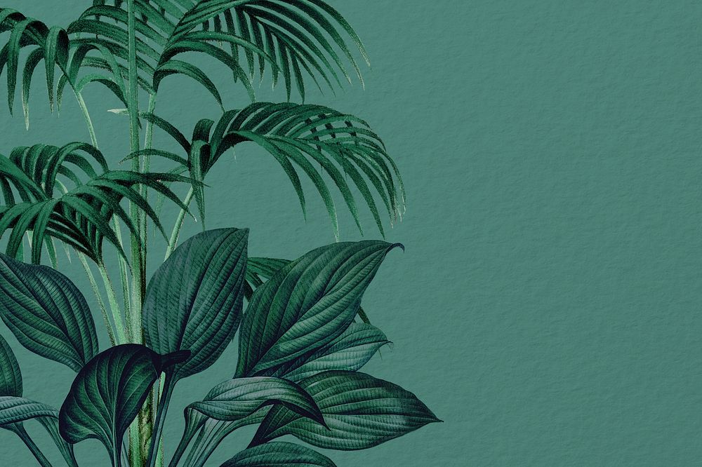 Vintage jungle background. Remixed by rawpixel.