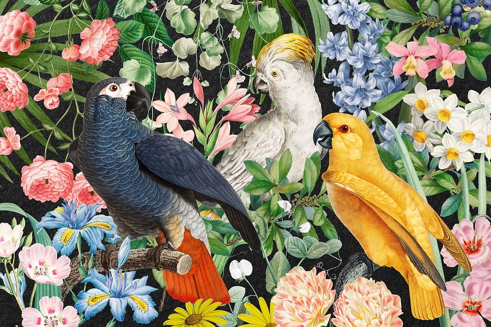 Exotic birds  background, vintage animal illustration. Remixed by rawpixel.