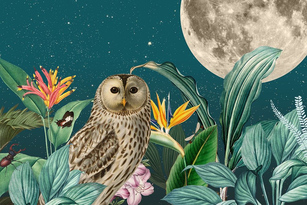 Night owl background, vintage animal illustration. Remixed by rawpixel.