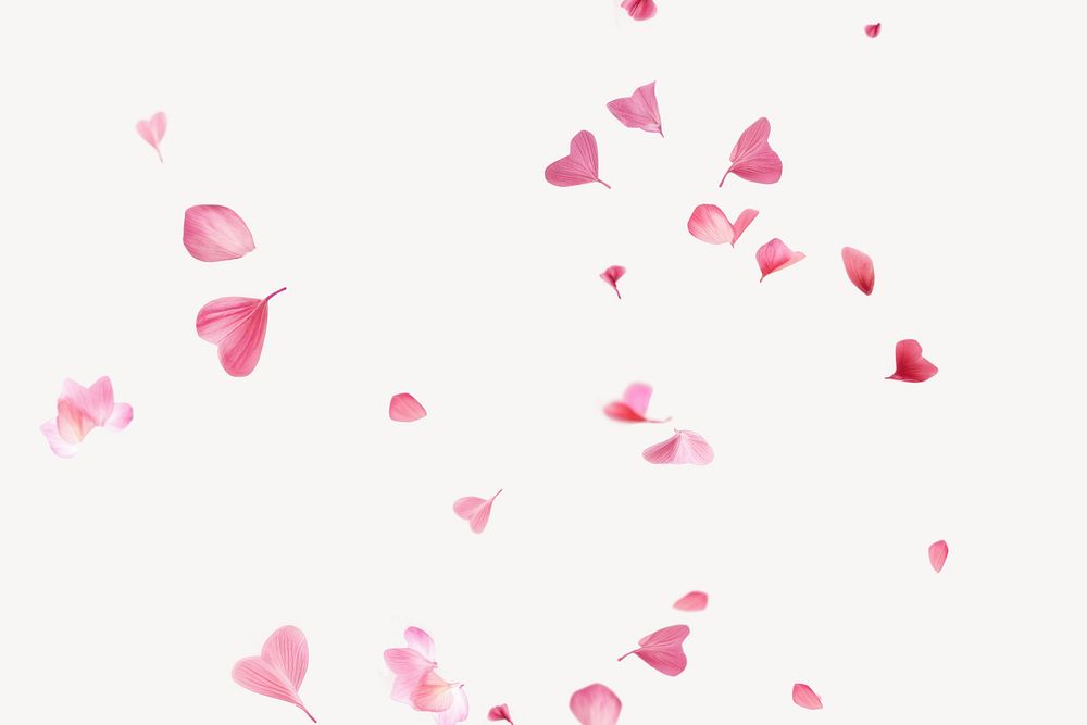 Falling flower pink petals