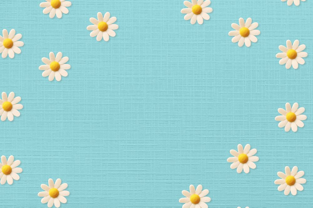 Cute daisy flower background