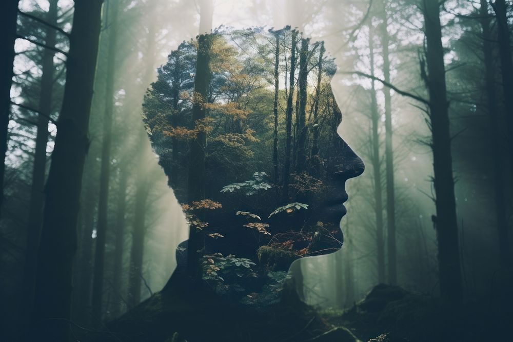 Man forrest woodland outdoors nature forest. AI generated Image by rawpixel.