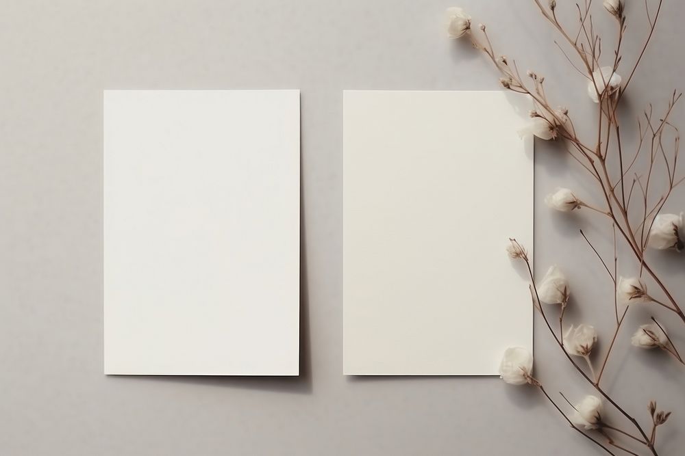 Cards paper simplicity document. AI generated Image by rawpixel.