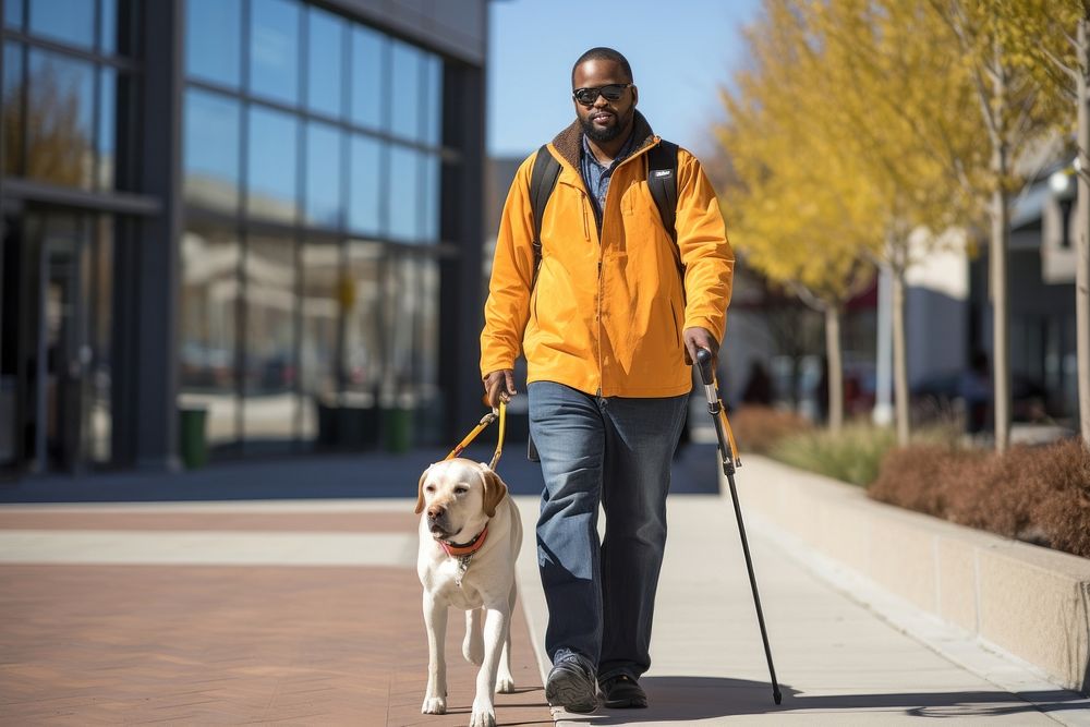 Guide dog wearing a cane footwear walking animal. AI generated Image by rawpixel.