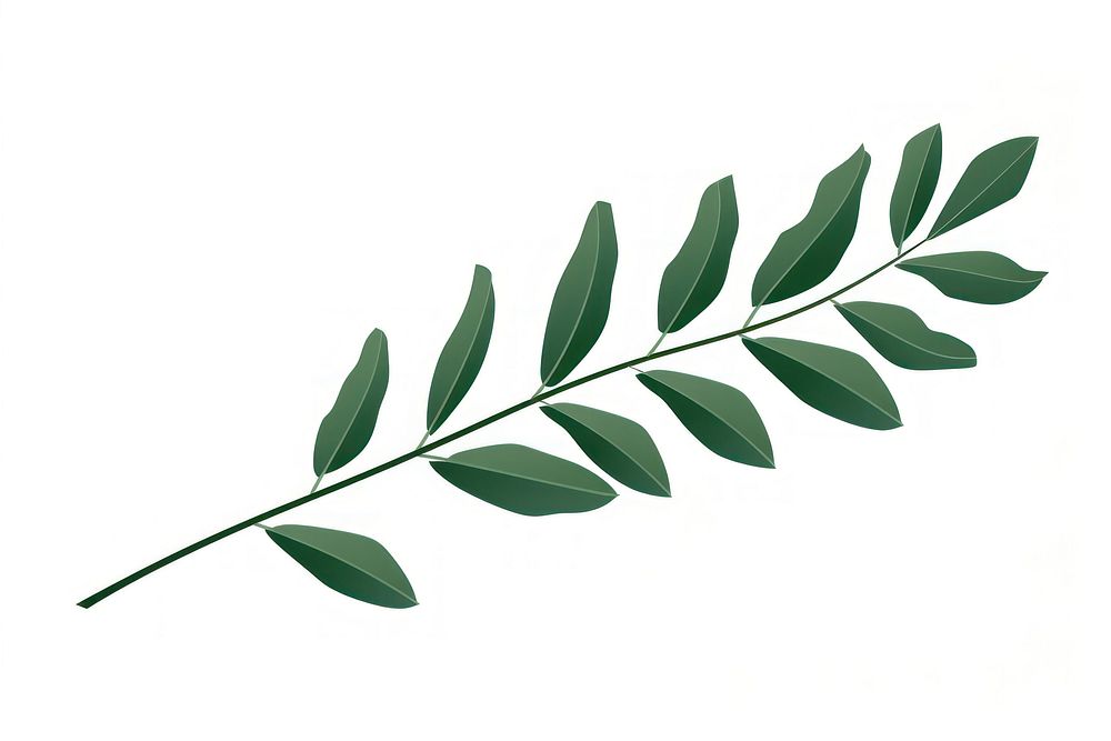 Green christmas leaves plant herbs leaf. AI generated Image by rawpixel.