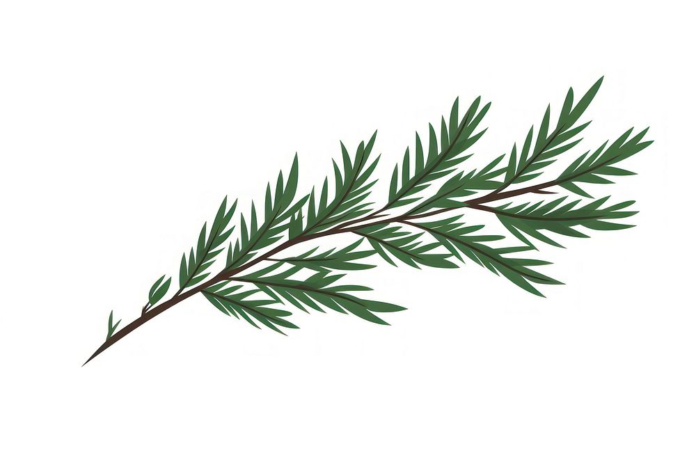 Pine leaves plant herbs leaf. AI generated Image by rawpixel.