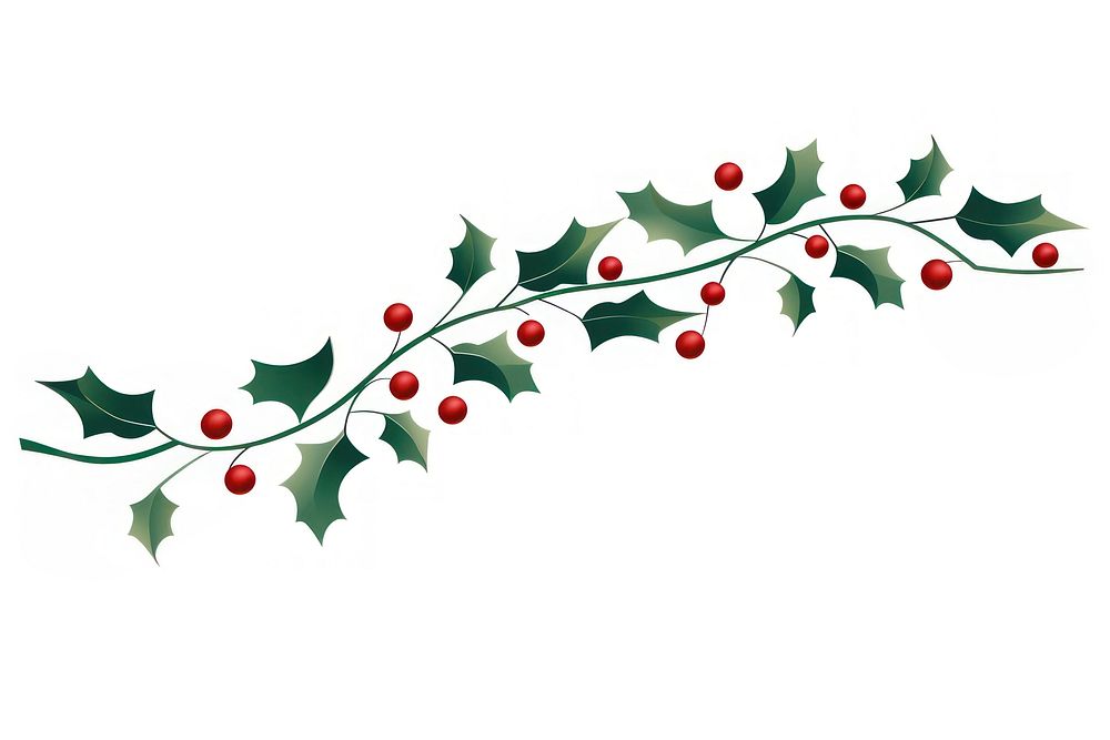 PNG Holly plant green leaf. AI generated Image by rawpixel.