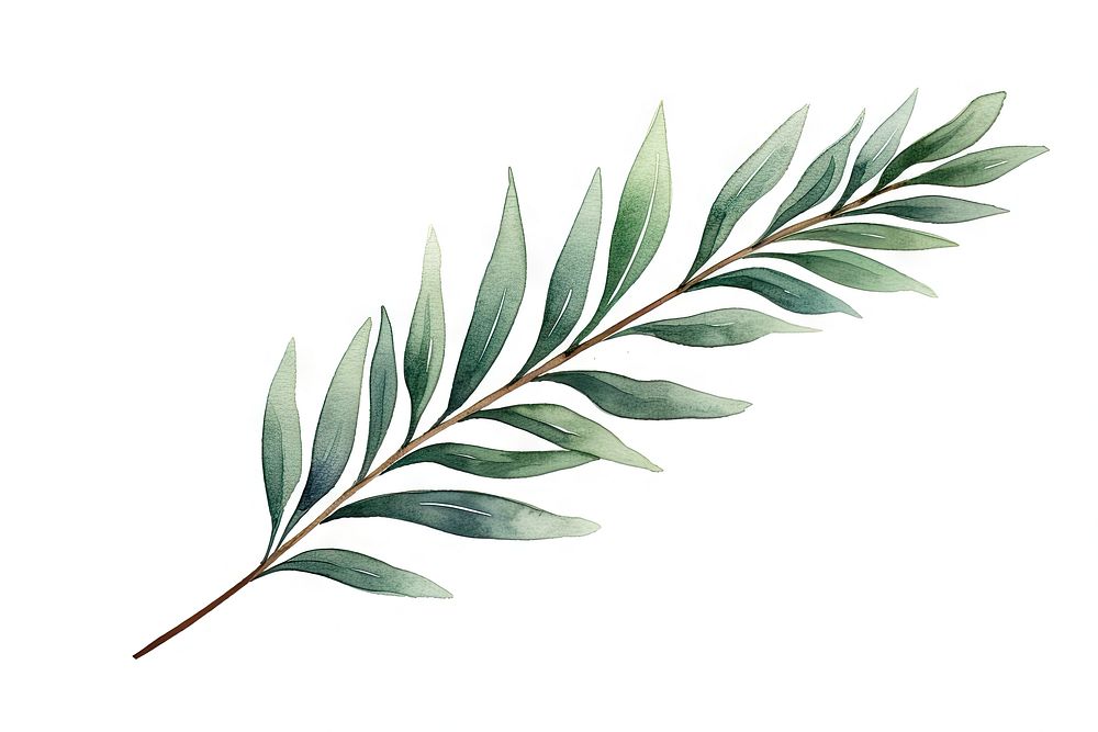 Christmas pine leaves plant herbs leaf. AI generated Image by rawpixel.