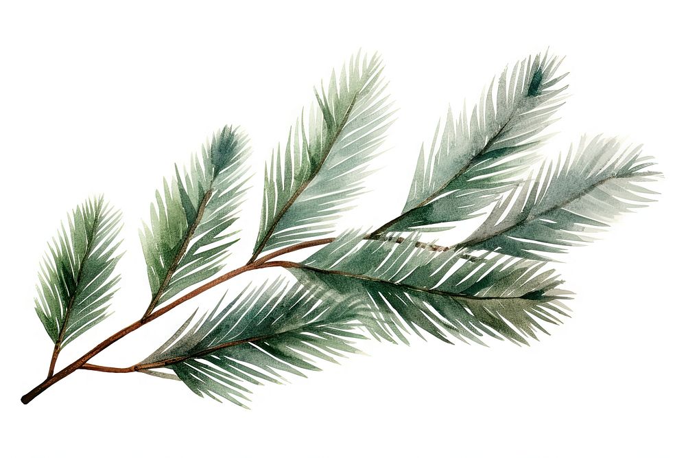 Christmas pine leaves plant leaf tree. AI generated Image by rawpixel.