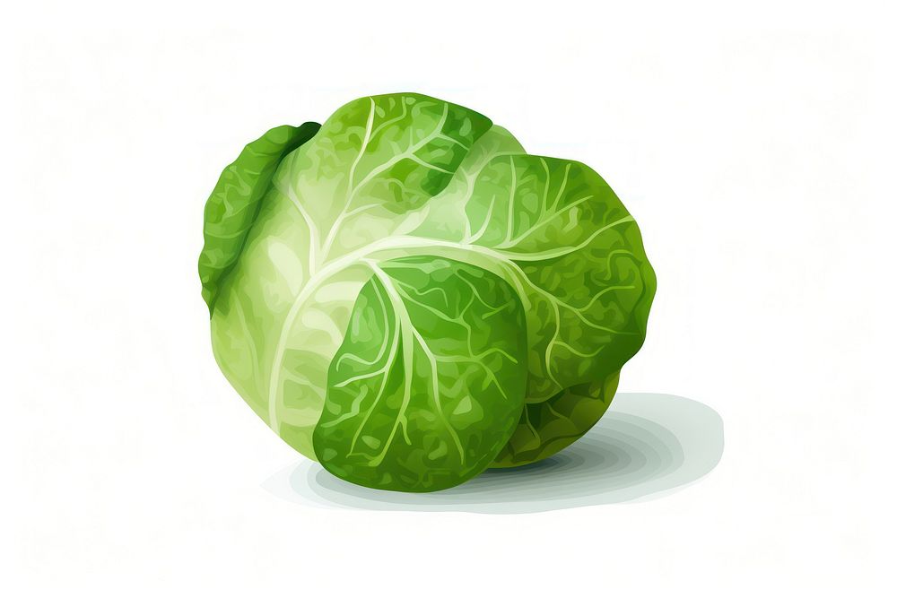 Brussels Sprout vegetable cabbage plant. AI generated Image by rawpixel.