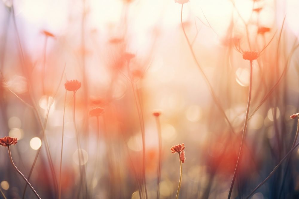 Spring scenes backgrounds sunlight abstract. AI generated Image by rawpixel.