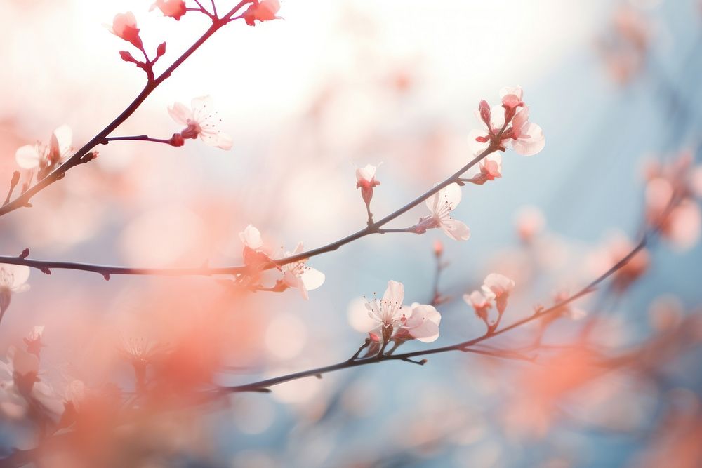 Spring scenes outdoors blossom flower. AI generated Image by rawpixel.