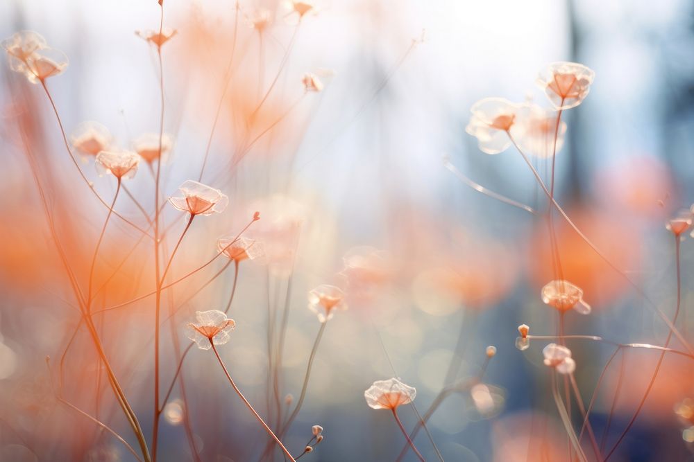 Spring scenes backgrounds outdoors blossom. AI generated Image by rawpixel.