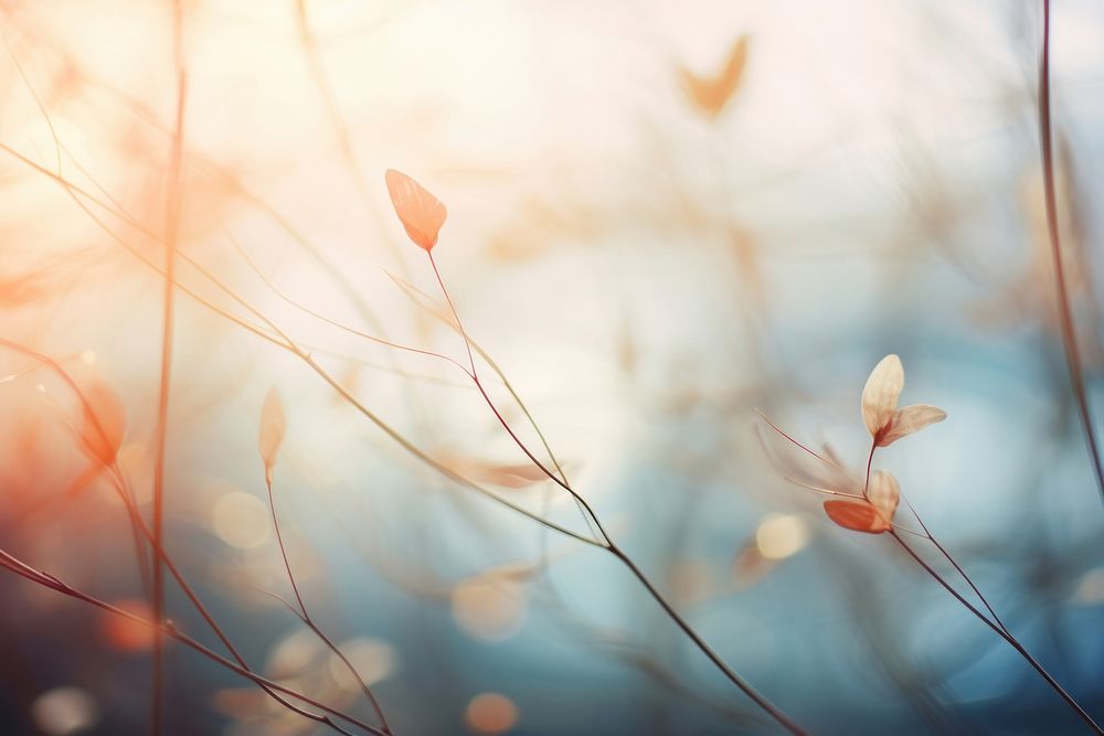 Spring scenes sky backgrounds sunlight. AI generated Image by rawpixel.