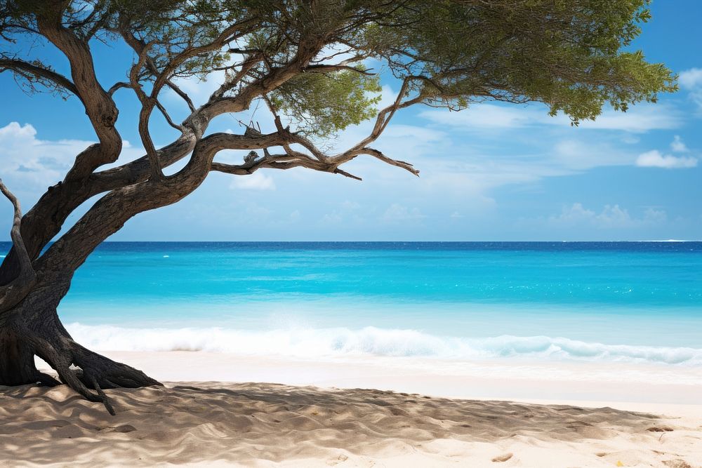 Tropical beach tree sea landscape. AI generated Image by rawpixel.