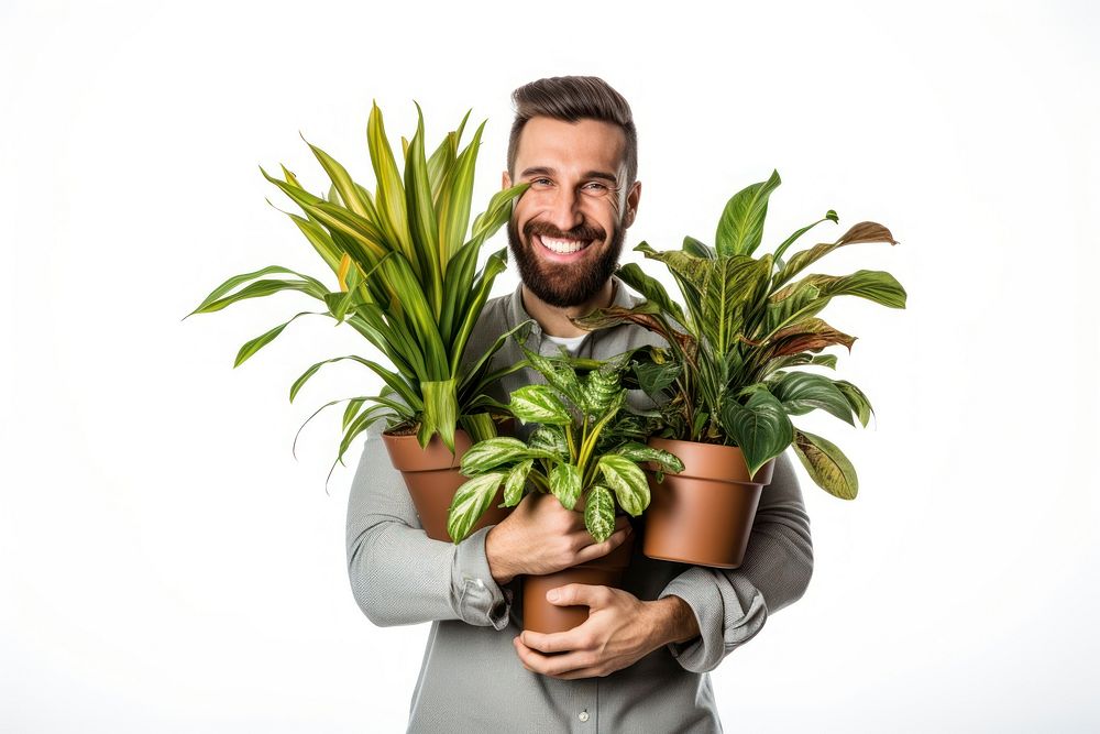 Potted plants vegetable adult leaf. AI generated Image by rawpixel.