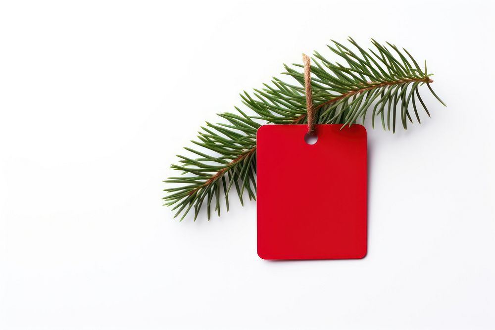 Christmas plant tree red. AI generated Image by rawpixel.