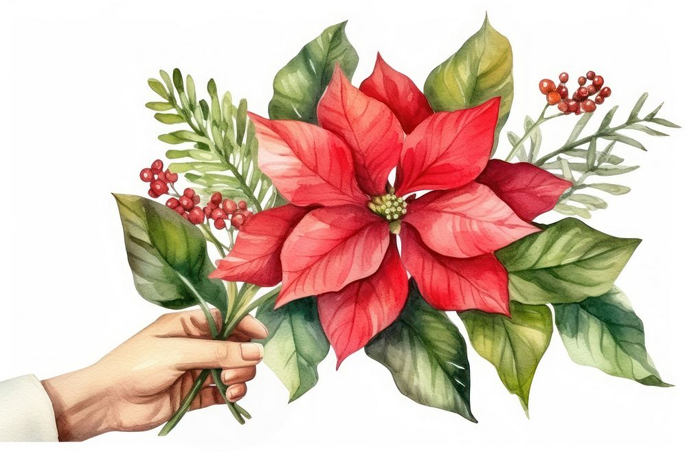 Flower christmas plant leaf. AI generated Image by rawpixel.