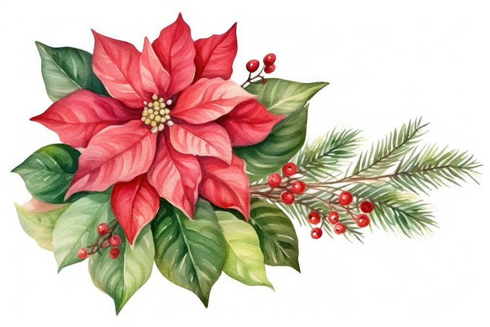 Flower christmas pattern plant. AI generated Image by rawpixel.