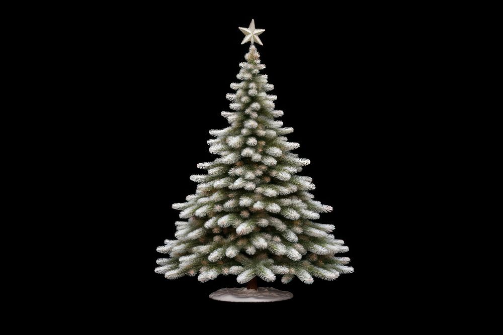 Christmas tree snowy plant pine black background. AI generated Image by rawpixel.