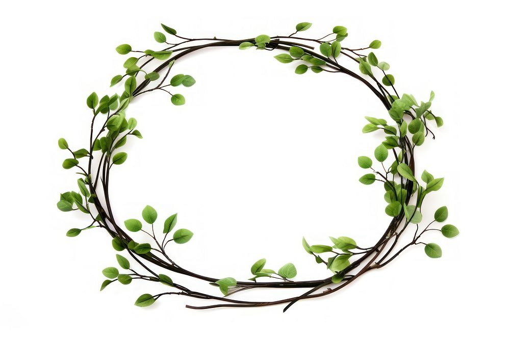 Mistletoe wreath plant white background branch. AI generated Image by rawpixel.