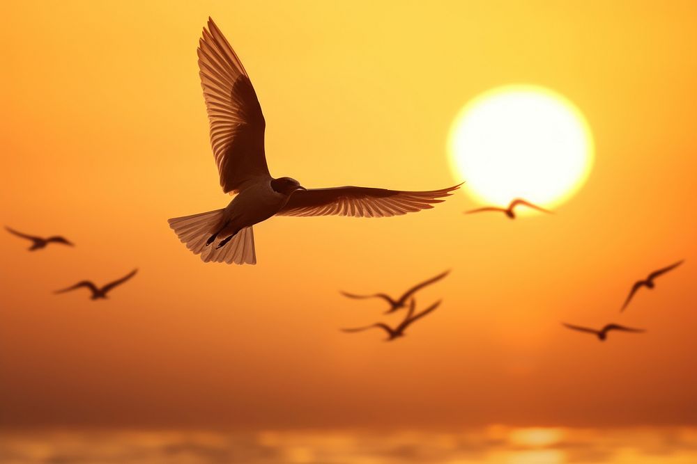 Migrating bird nature sky sunlight. AI generated Image by rawpixel.