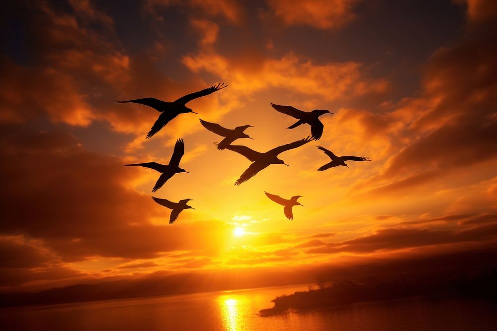 Birds flying nature sky sunlight. AI generated Image by rawpixel.