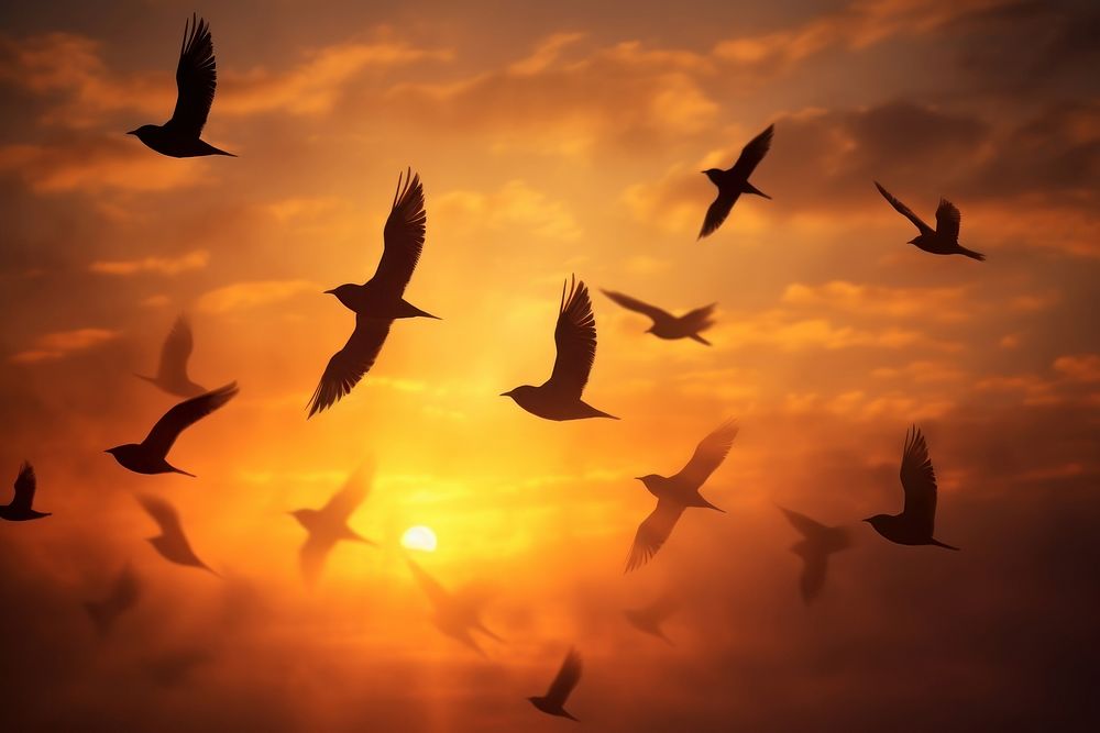 Birds flying nature sky outdoors. AI generated Image by rawpixel.