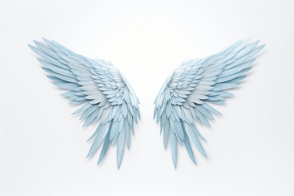 Light blue feather angel wings bird white background archangel. AI generated Image by rawpixel.