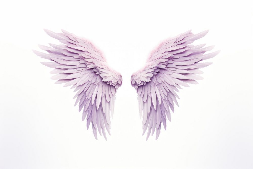 Pastel purple feather angel wings bird white background creativity. AI generated Image by rawpixel.