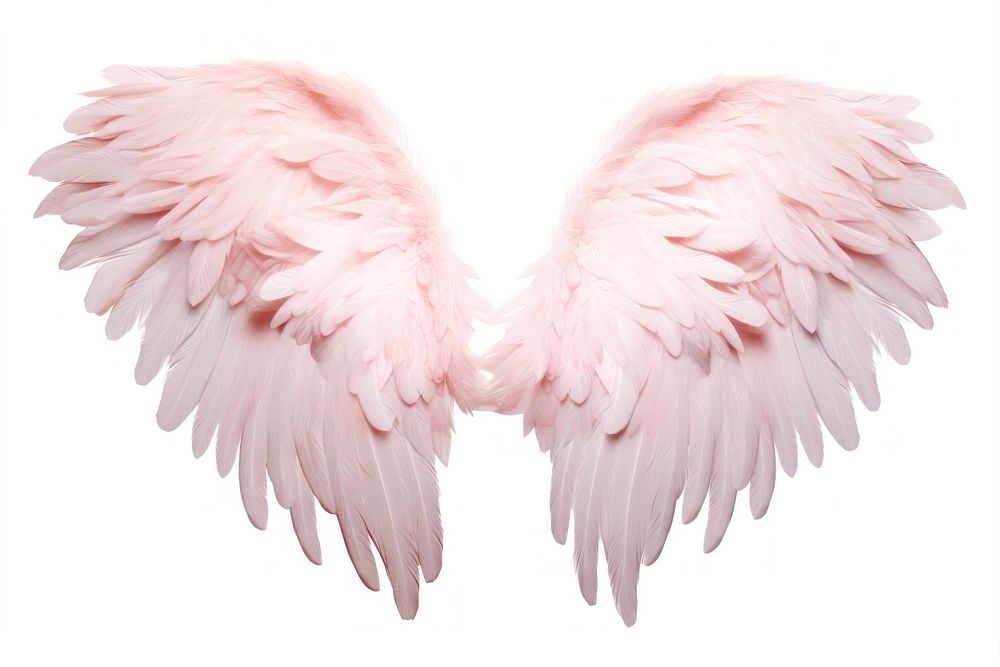 Pastel pink feather angel wings bird white background archangel. AI generated Image by rawpixel.