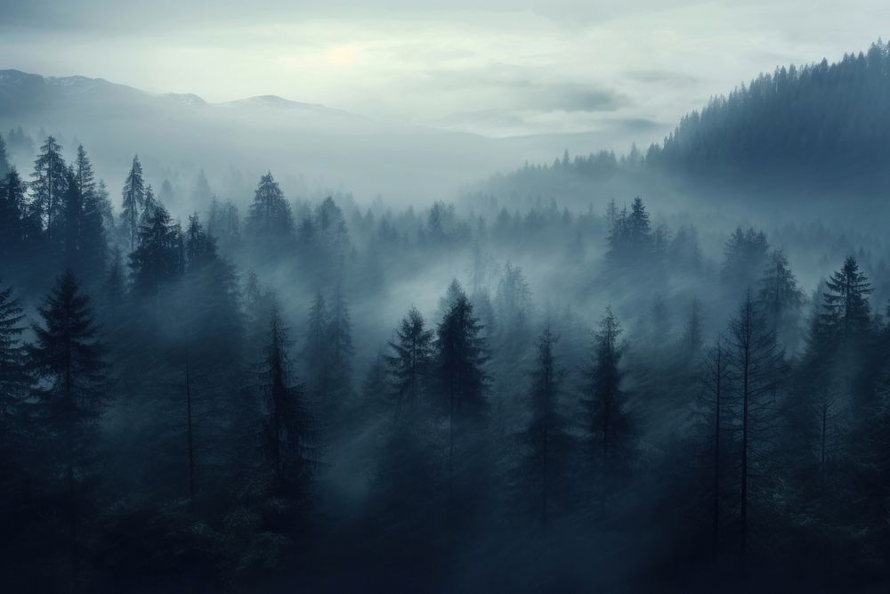 Plateu fog outdoors woodland. AI generated Image by rawpixel.