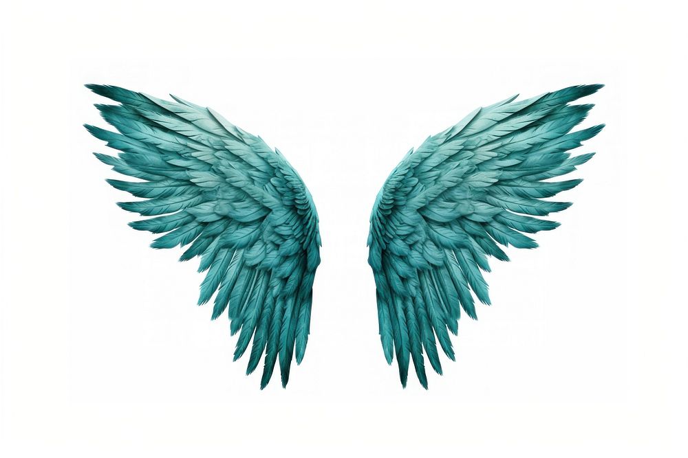 Teal feather angel wings turquoise bird white background. AI generated Image by rawpixel.
